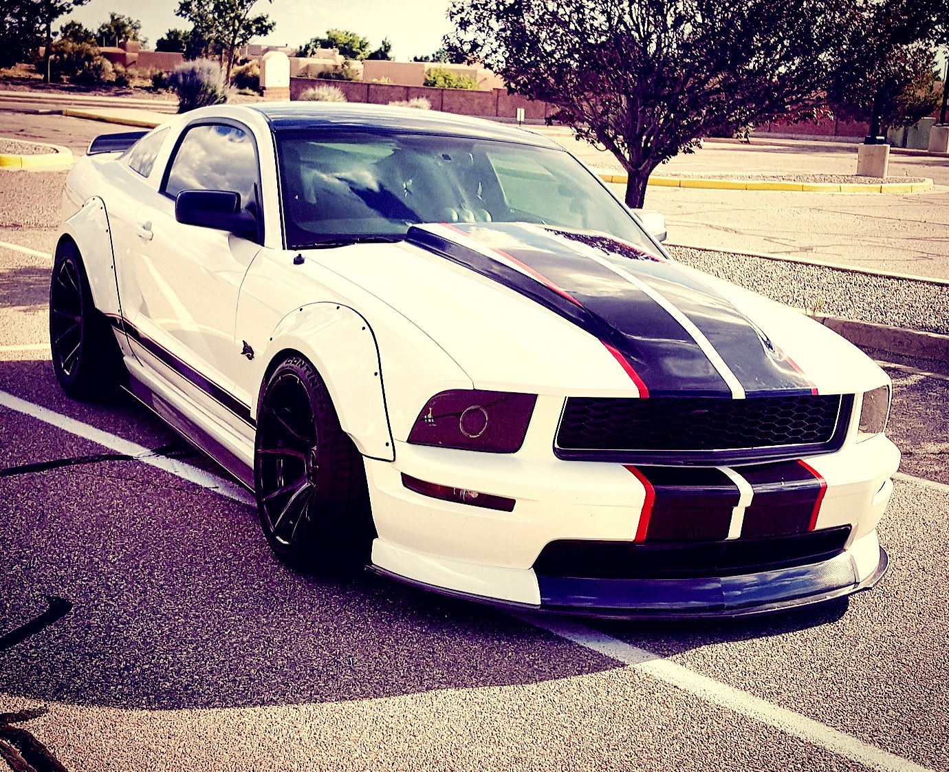 2008 Performance Whit Ford Mustang GT picture, mods, upgrades
