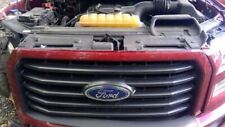 Grille Center XL 5 Painted Bars Fits 15-17 FORD F150 PICKUP 1334404 picture